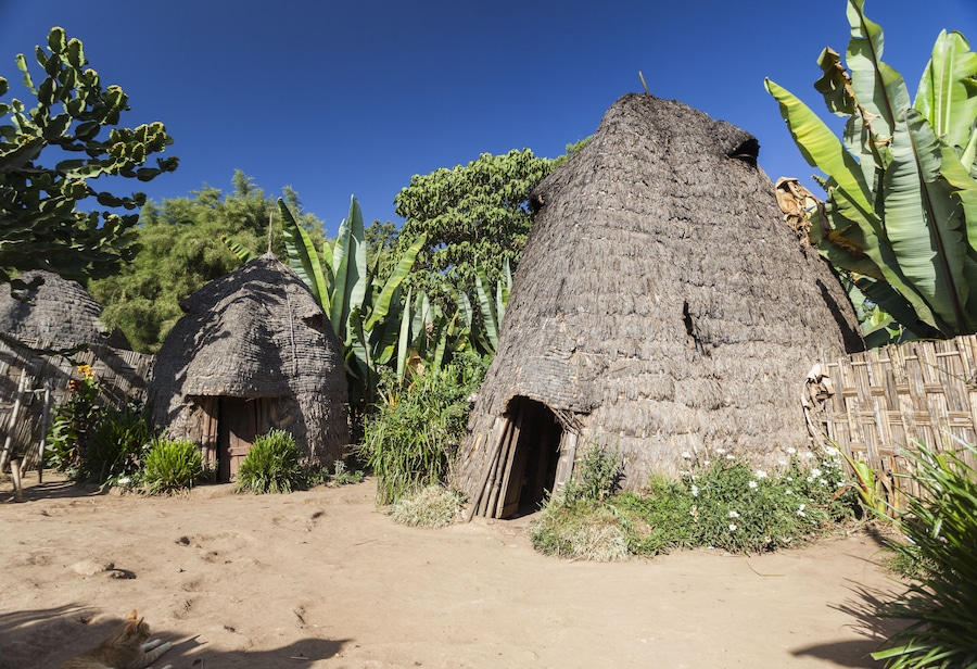 Elephant head like traditional Dorze houses. Hayzo village, Omo Valley, Ethiopia