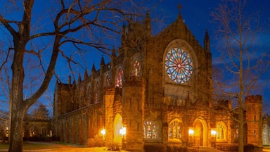 Une église de style gothique, dotée d’une grande rosace et de plusieurs flèches.