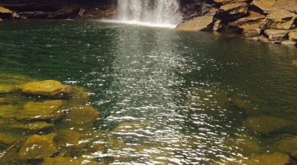 Lower Greeter Falls on the Fiery Gizzard Trail.
