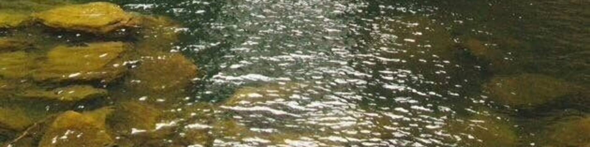 Lower Greeter Falls on the Fiery Gizzard Trail.