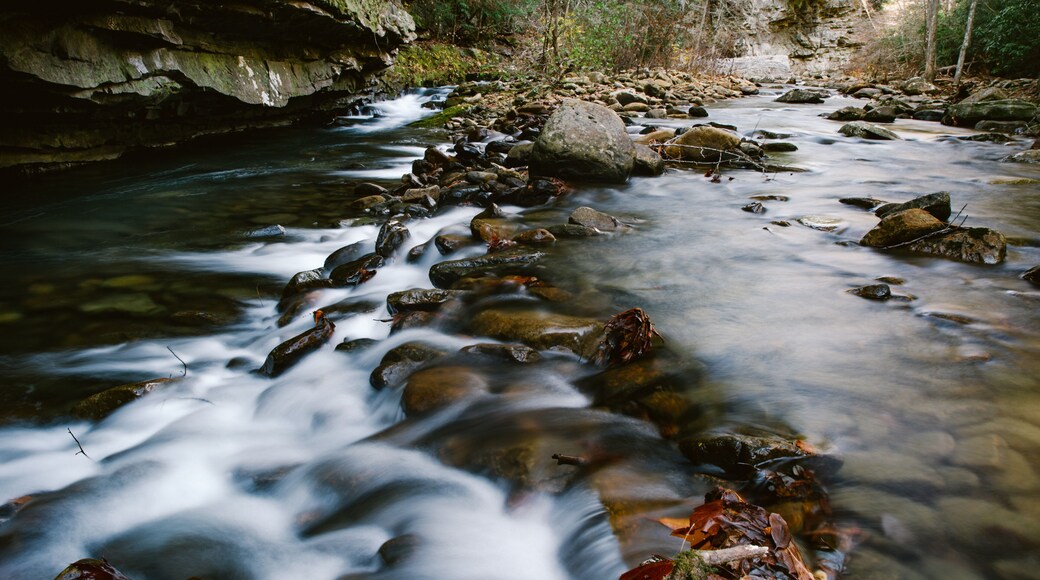 Monteagle