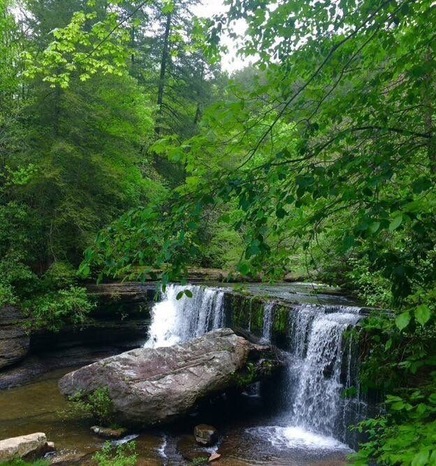 Upper Greeter Falls on the Fiery Gizzard Trail.