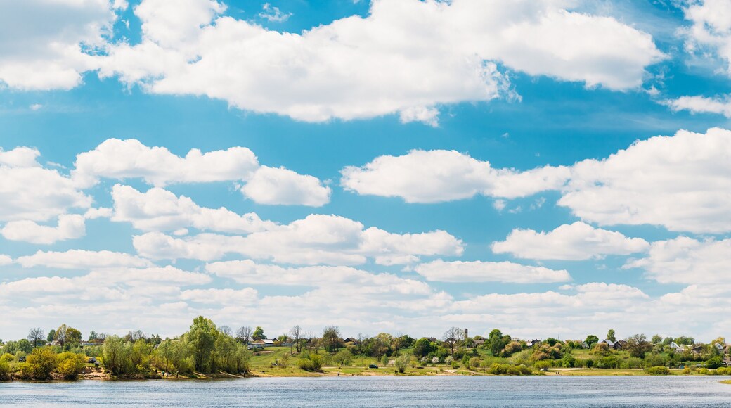 Rechytsa, Gomel Region, Belarus. Dnieper River. European Nature In Summer