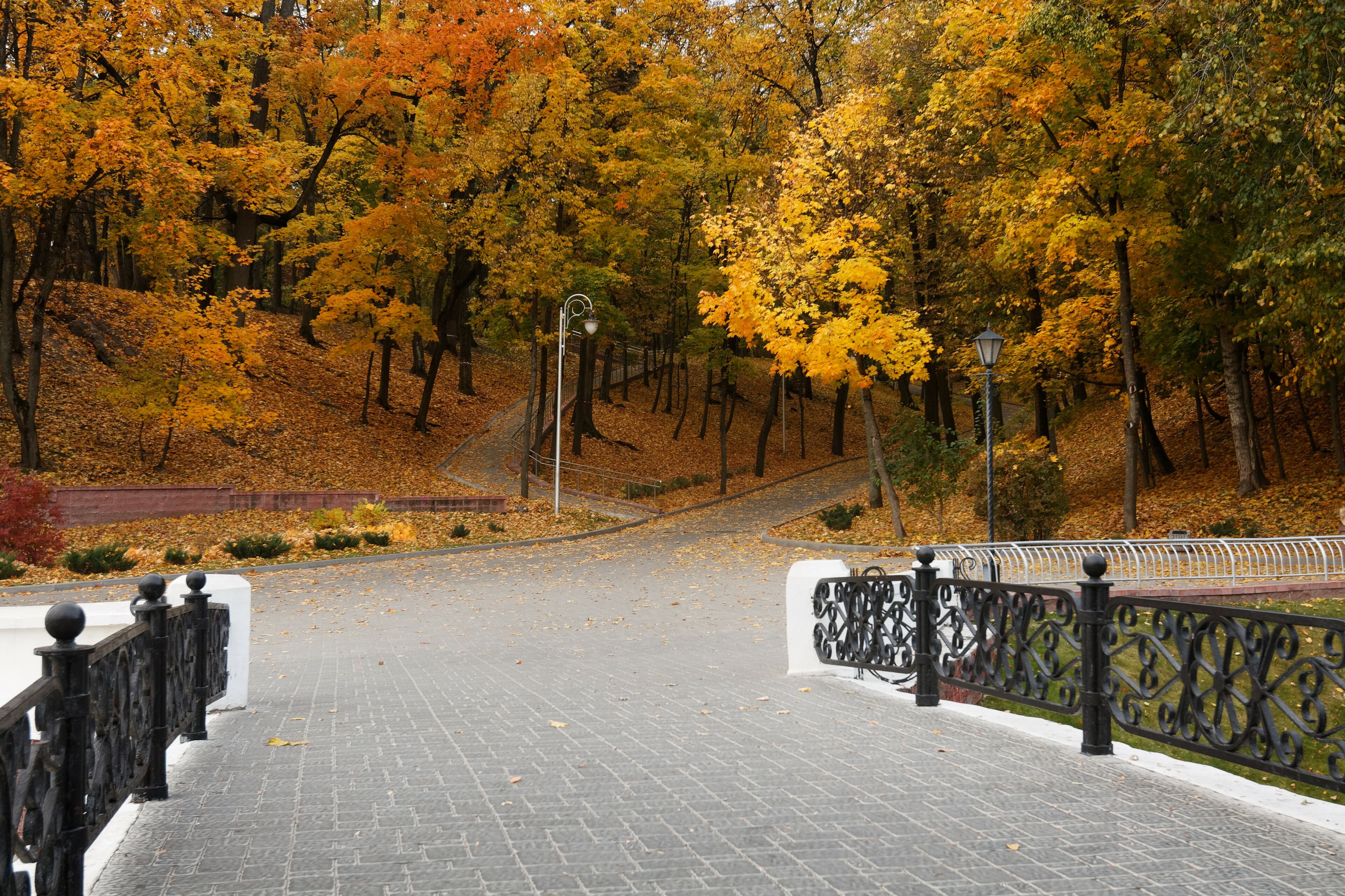 Autumn landscape in a city park. Gomel, Belarus