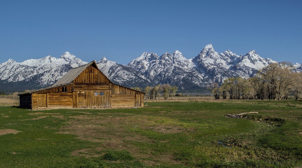 Reportedly the most commonly photographed scene in Grand Teton National Park - Mormom Row. The old historic homesteads with the Grand Tetons as a backdrop are truly a beautiful site. #mormonrow #grandteton #nationalpark #wyoming