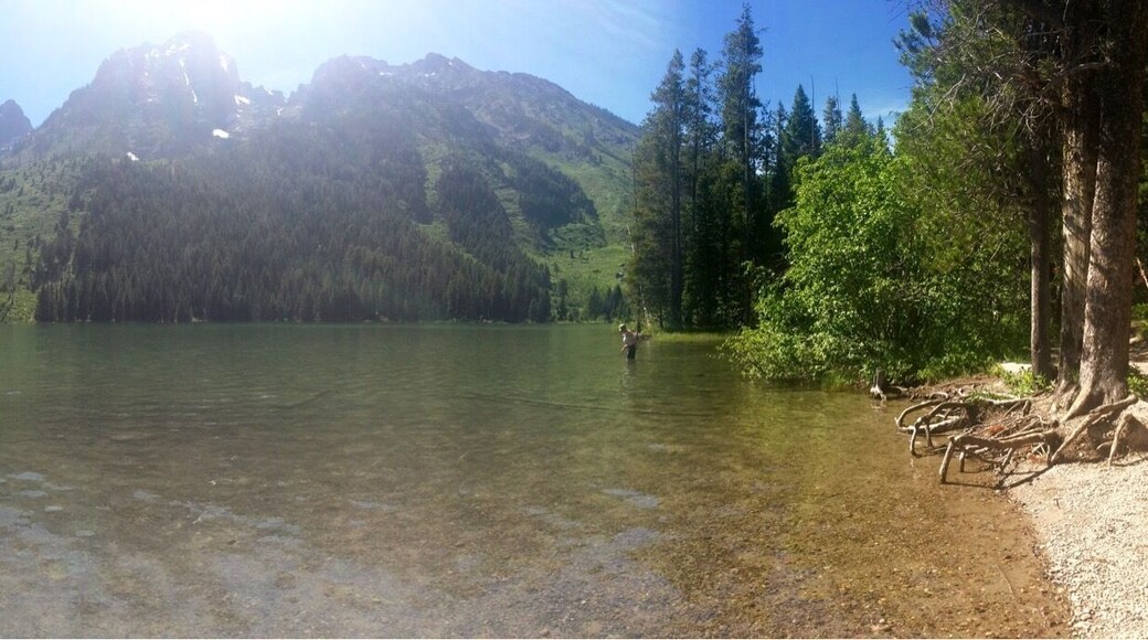Peaceful, beautiful place to lay in the sun, in the water, wishing I had a paddleboard.