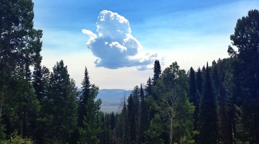 The Grand Tetons are so beautiful and special. Hike up to Phelps Lake via the Death Canyon trailhead is an easy 4 mile round trip that's good for kids. #kidsfun