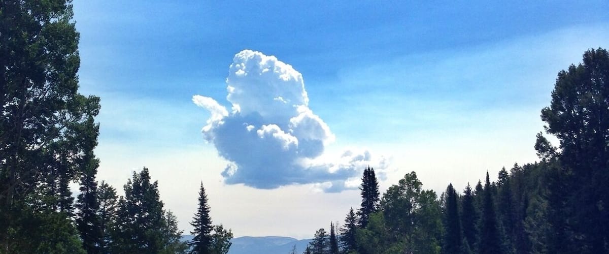 The Grand Tetons are so beautiful and special. Hike up to Phelps Lake via the Death Canyon trailhead is an easy 4 mile round trip that's good for kids. #kidsfun