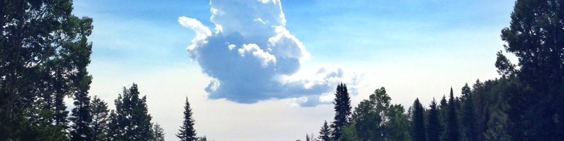 The Grand Tetons are so beautiful and special. Hike up to Phelps Lake via the Death Canyon trailhead is an easy 4 mile round trip that's good for kids. #kidsfun