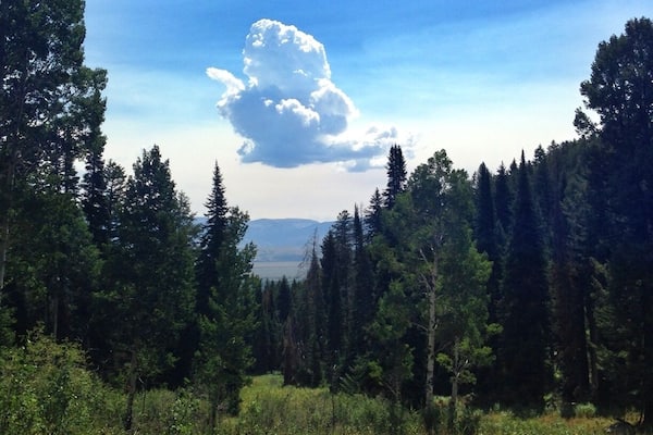 The Grand Tetons are so beautiful and special. Hike up to Phelps Lake via the Death Canyon trailhead is an easy 4 mile round trip that's good for kids. #kidsfun