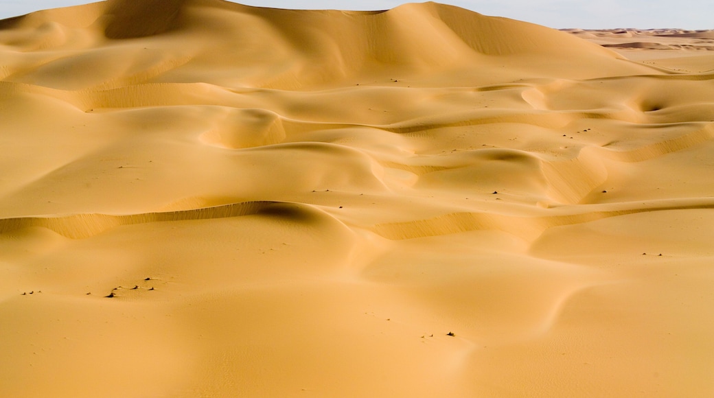These luscious dunes are located in the Erg de Bilma east of Bilma.
