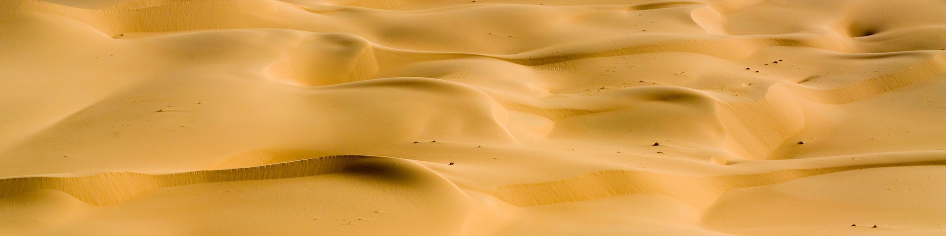 These luscious dunes are located in the Erg de Bilma east of Bilma.