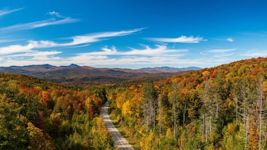 Aerial view of the Moretown Mountain road between Northfield and Moretown in Vermont during the fall