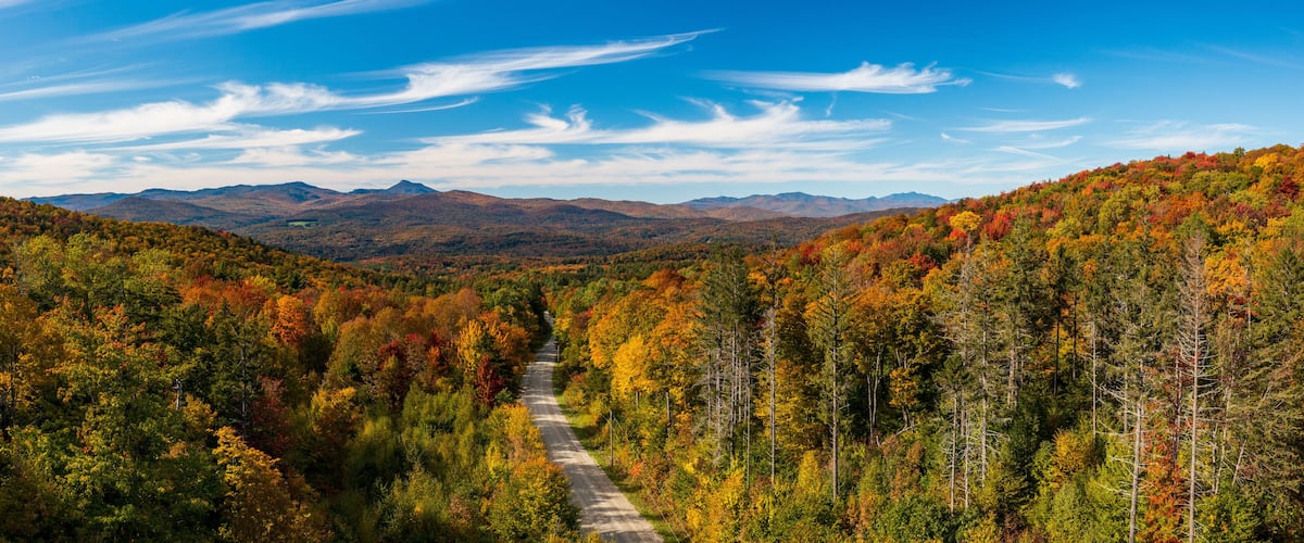 A road winding through a forest with autumn foliage and distant mountains.