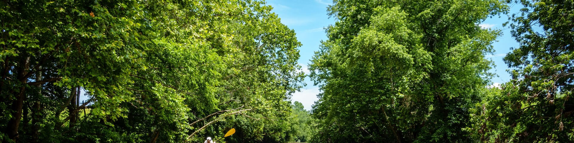 Kayaking on a creek in Central Kentucky