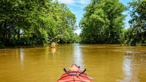 مورجانتاون
