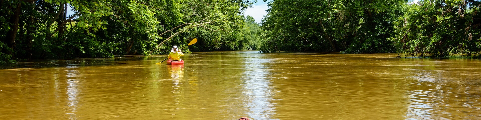 Kayaking on a creek in Central Kentucky