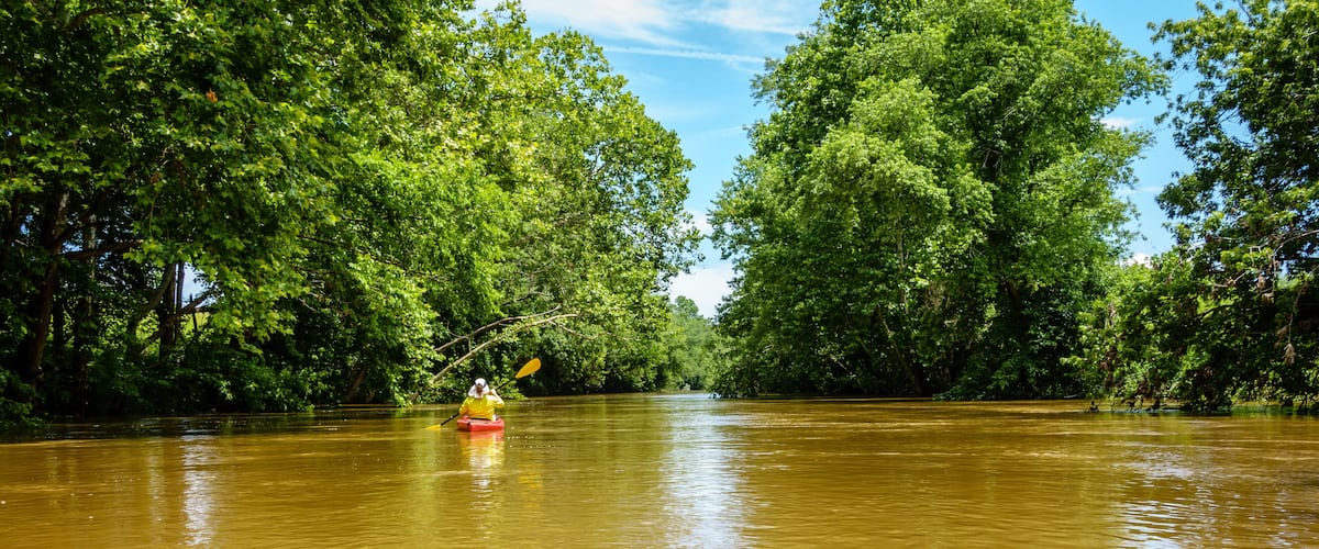 A river surrounded by dense green trees.