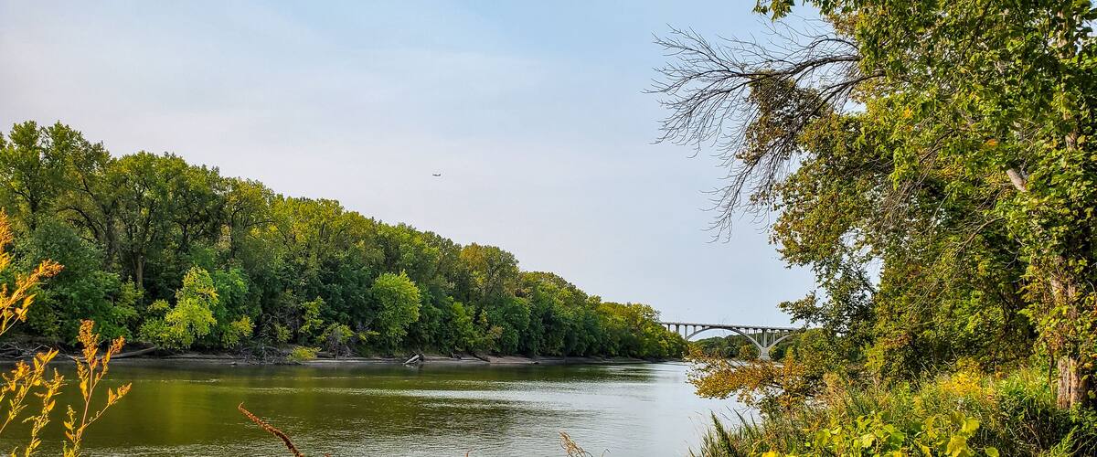 A river with a bridge, surrounded by dense green trees and some yellow foliage.