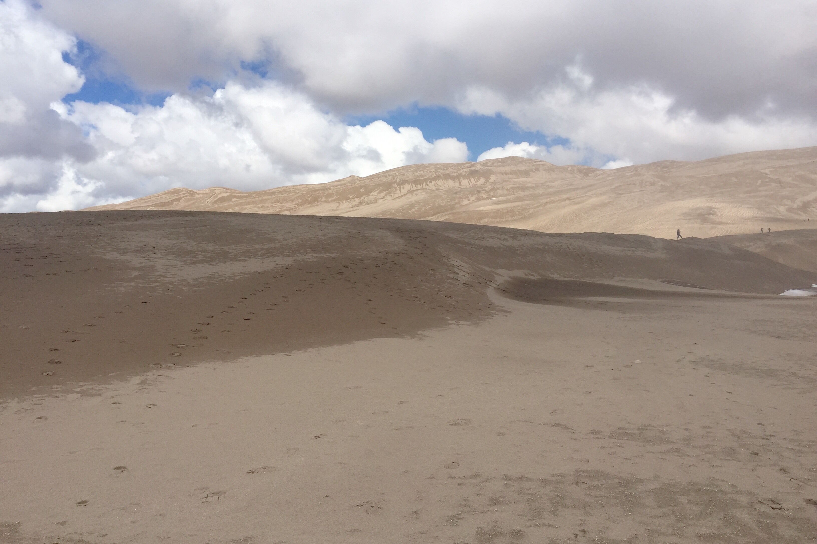 Snow in the morning and 65in the afternoon!