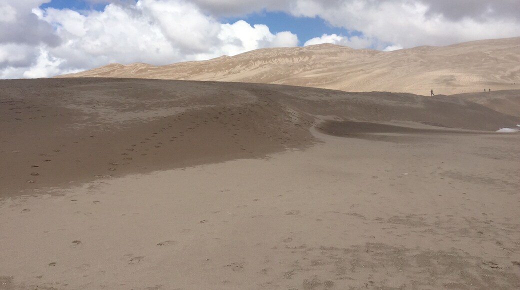 Snow in the morning and 65in the afternoon!