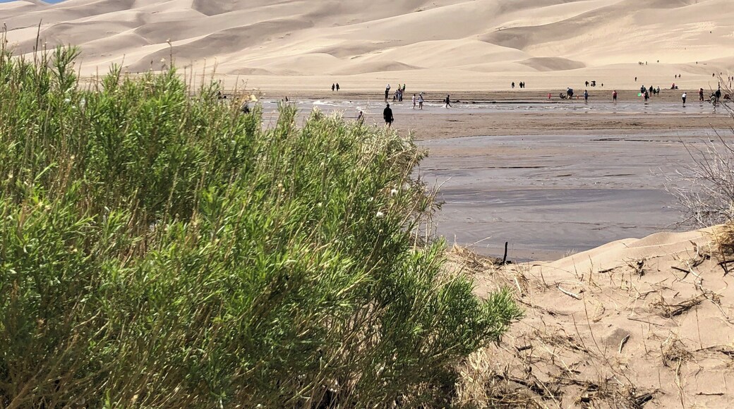 Stopped at Great Sand Dunes National Park Visitors Center and take a few photos of the Highest Dunes in America. The sand dunes are over 750 feet high and the surrounding peaks over 12,000 feet.