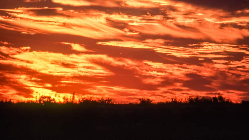 Deception Valley, Central Kalahari Game Reserve, Ghanzi, Botswana, Africa