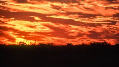 Deception Valley, Central Kalahari Game Reserve, Ghanzi, Botswana, Africa