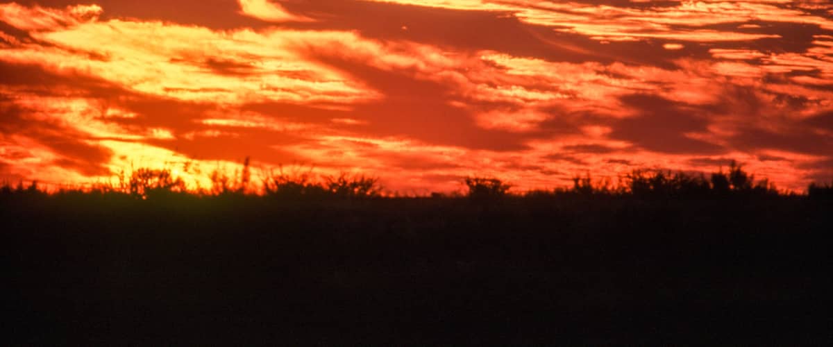 A sunset with a vibrant orange sky and silhouettes of trees.