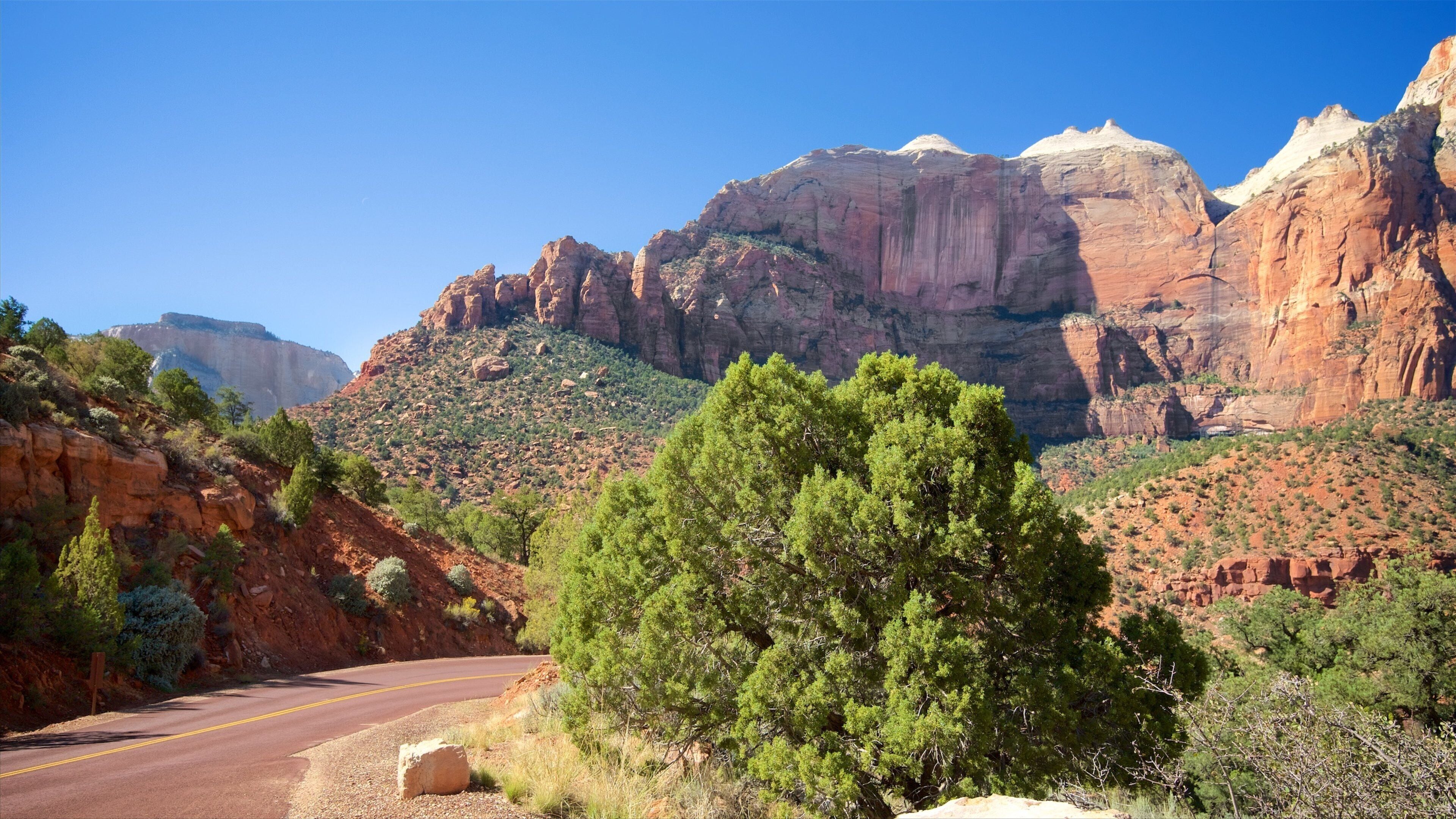 A winding road through a canyon with red rock formations and green trees.