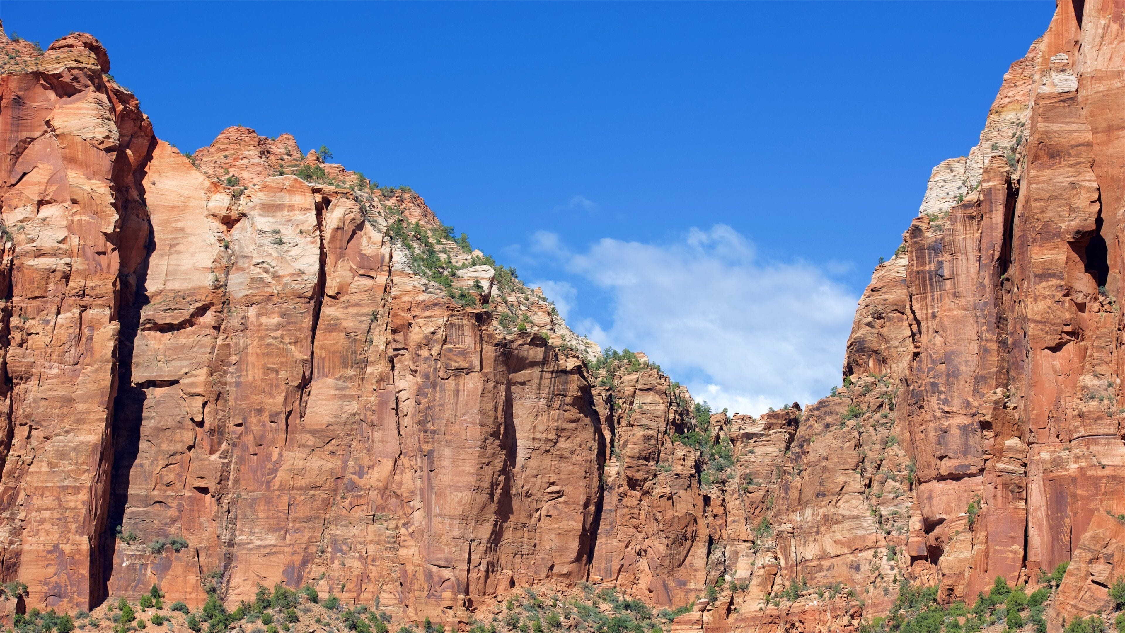 A canyon with red rock walls and sparse vegetation.