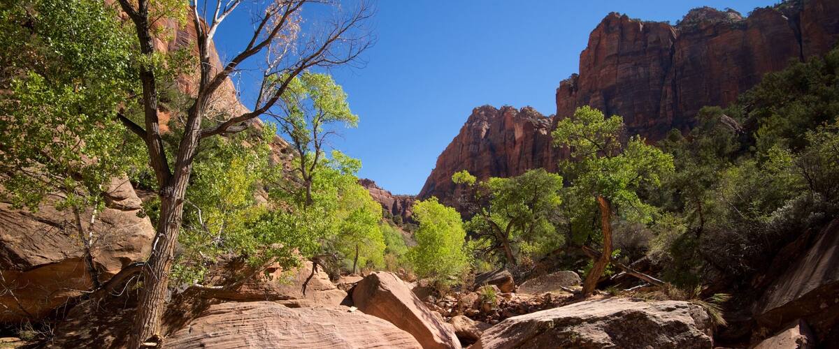 Zion National Park which includes tranquil scenes, landscape views and mountains