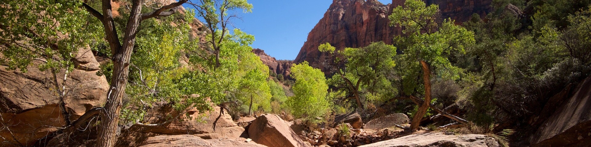 Zion National Park which includes landscape views, tranquil scenes and mountains