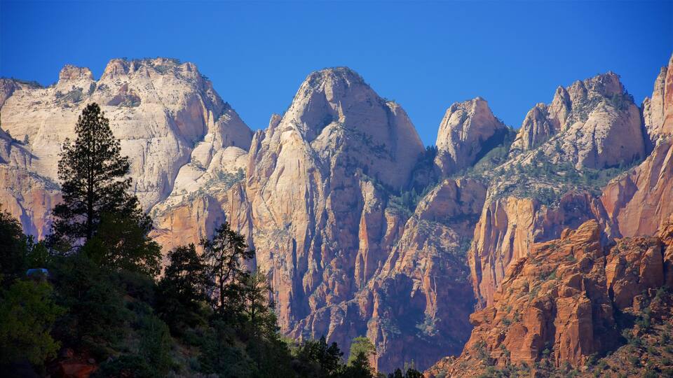 A mountain range with prominent peaks and a foreground of trees.