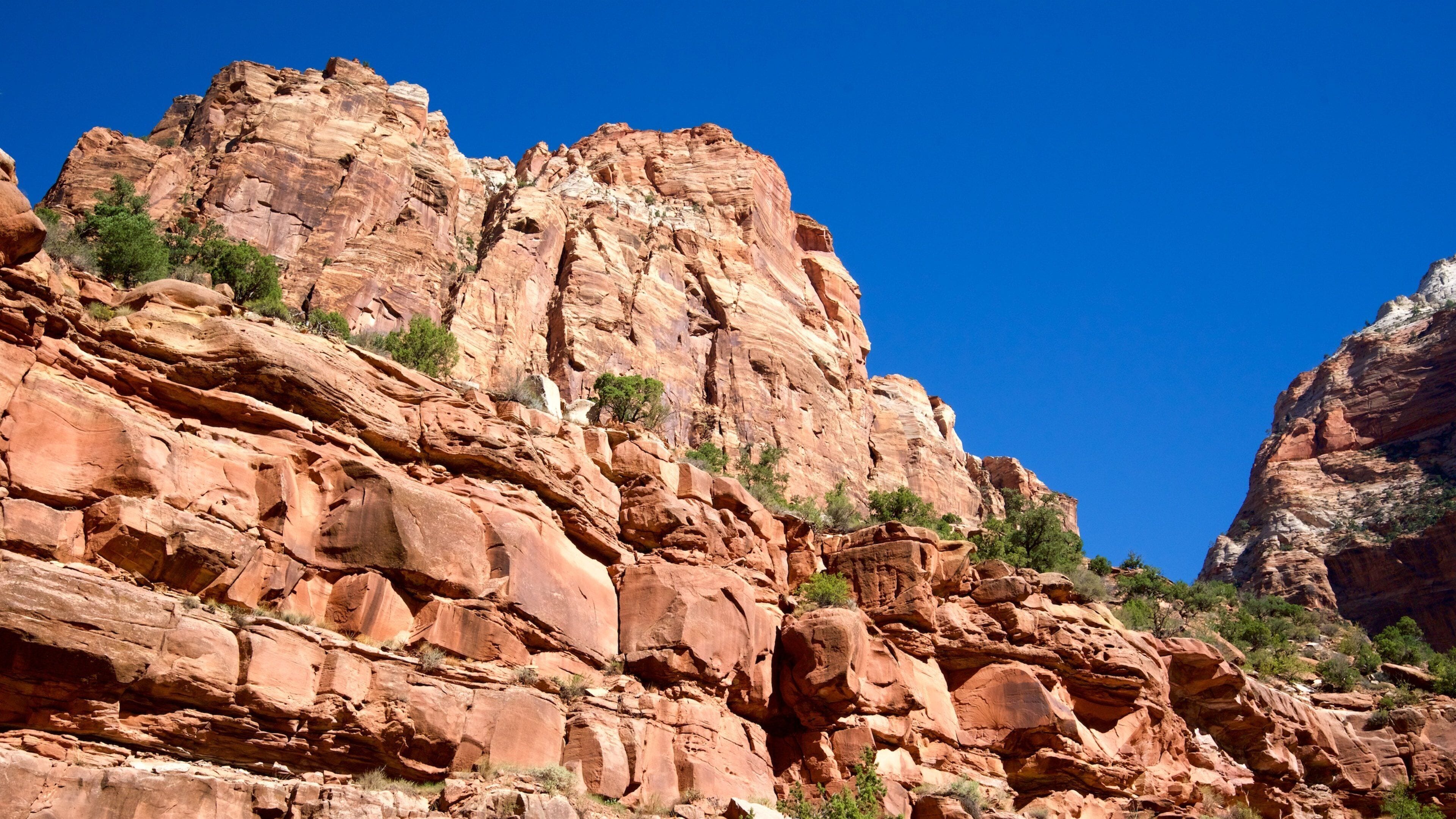 Zion nasjonalpark som inkluderer fjell, landskap og rolig landskap