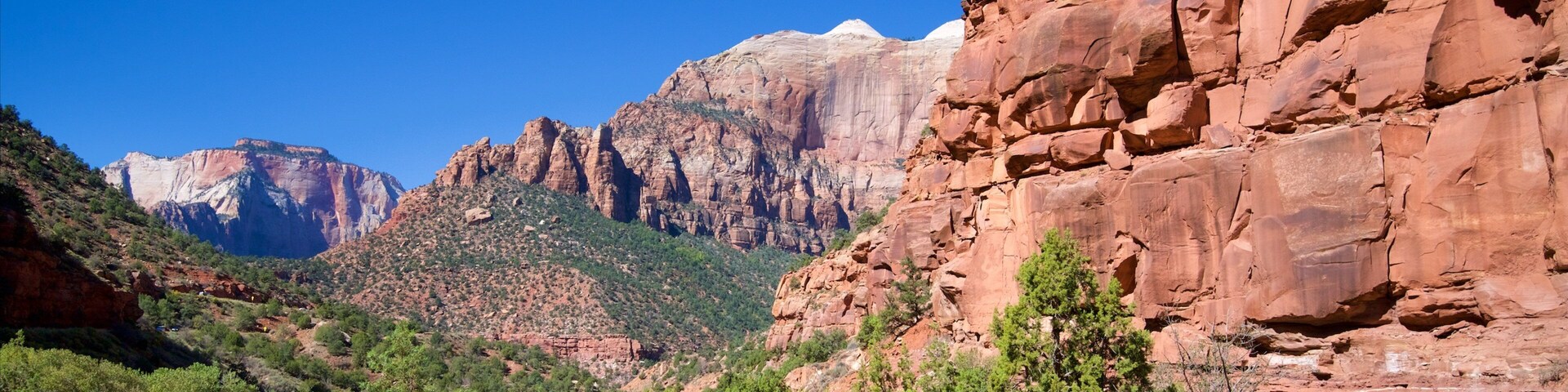 Zion National Park showing landscape views, tranquil scenes and mountains