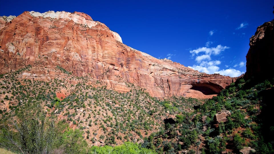A red rock canyon with a small waterfall and green vegetation.