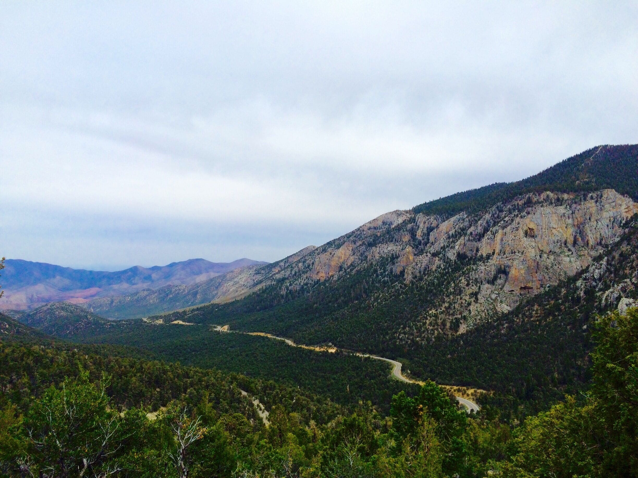 View from halfway up. 