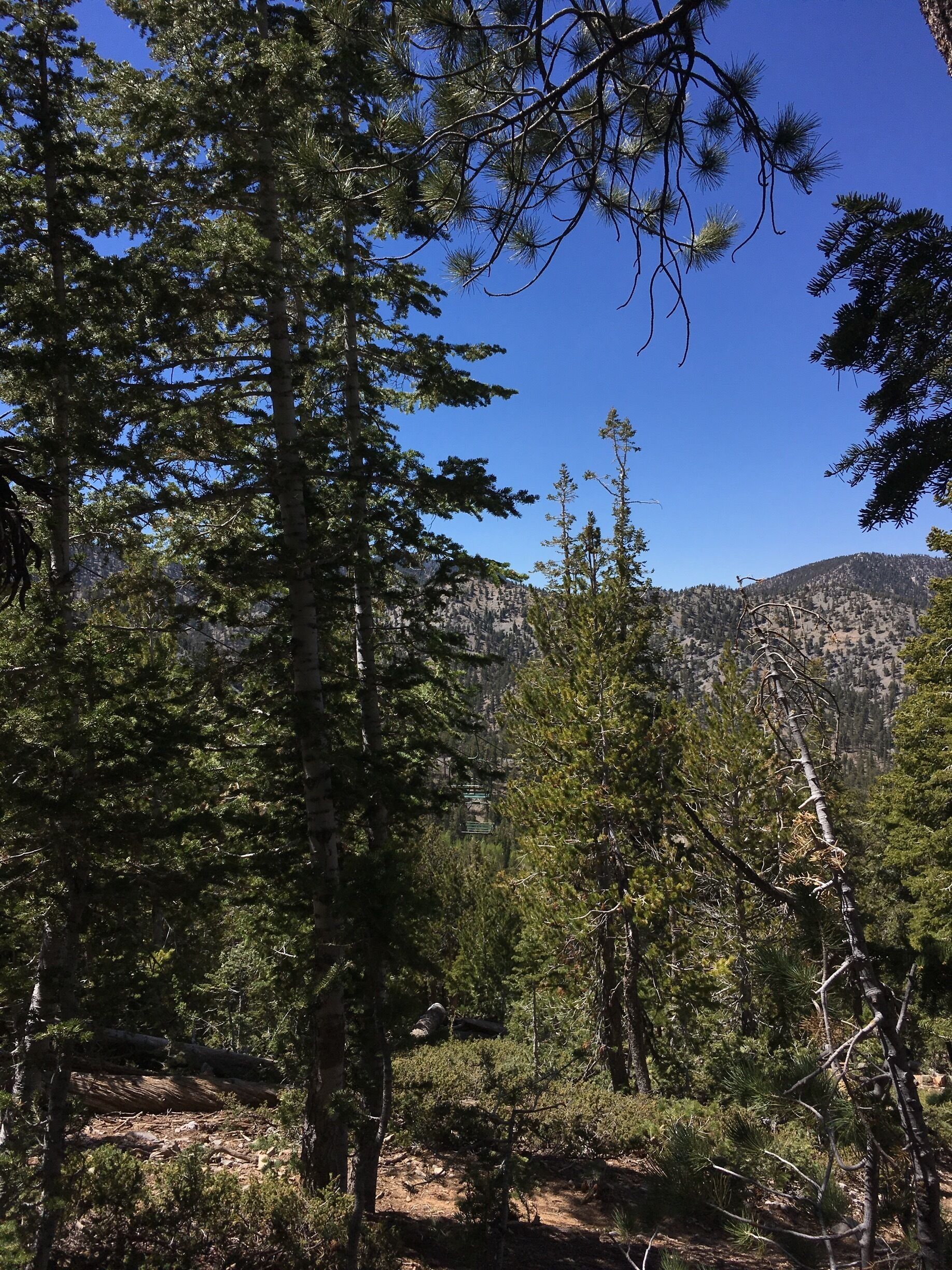 Great campsite. Perfect weather this time of year 
#summerfun