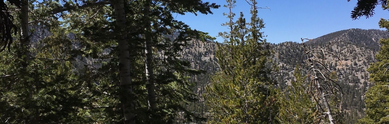 Great campsite. Perfect weather this time of year 
#summerfun