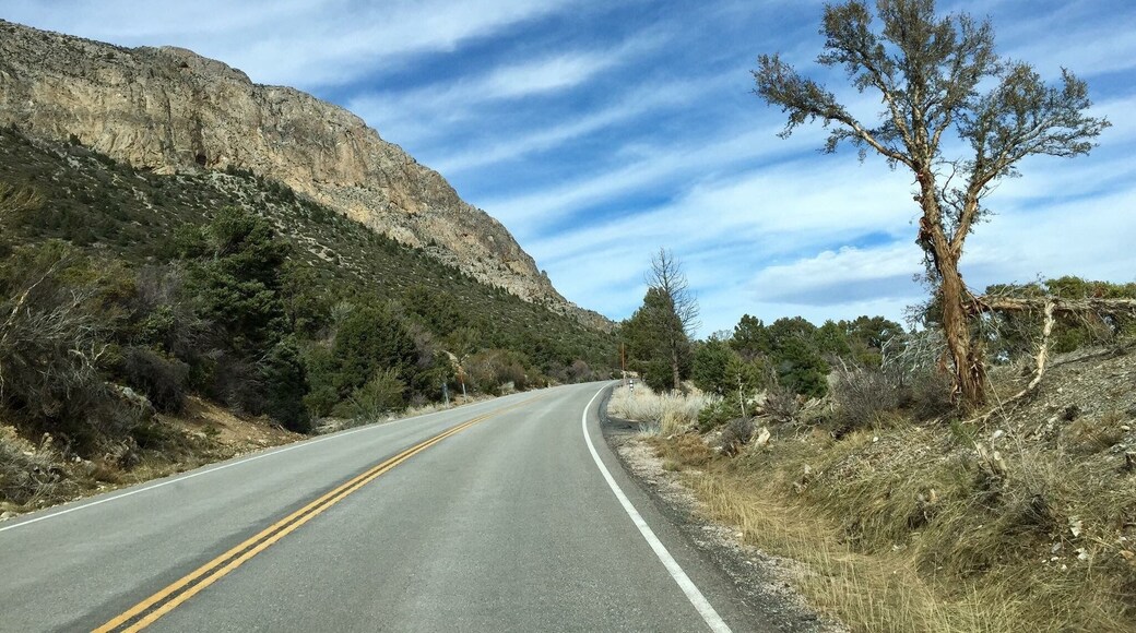 Beutiful Scenery 📷