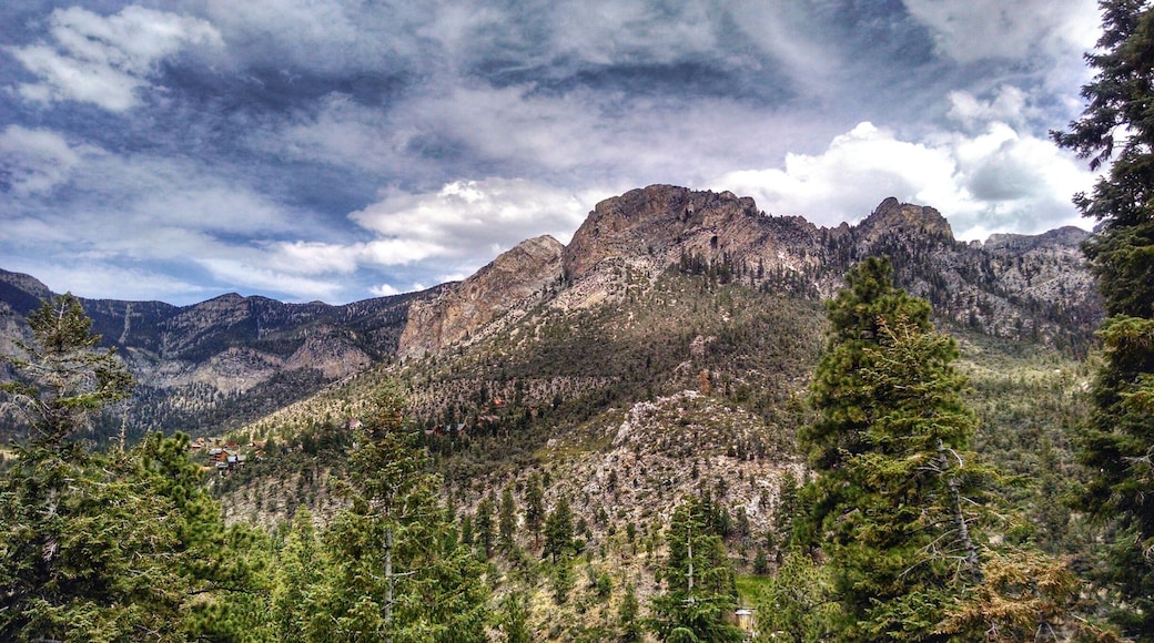 About a 45 minute drive from downtown Las Vegas you can find yourself in the Mountains - and about 20 degrees cooler. This is the view when sitting outside having lunch at the Mt Charleston lodge. There are several hiking trails in the area too, a nice change of scenery when on an extended trip to Las Vegas.