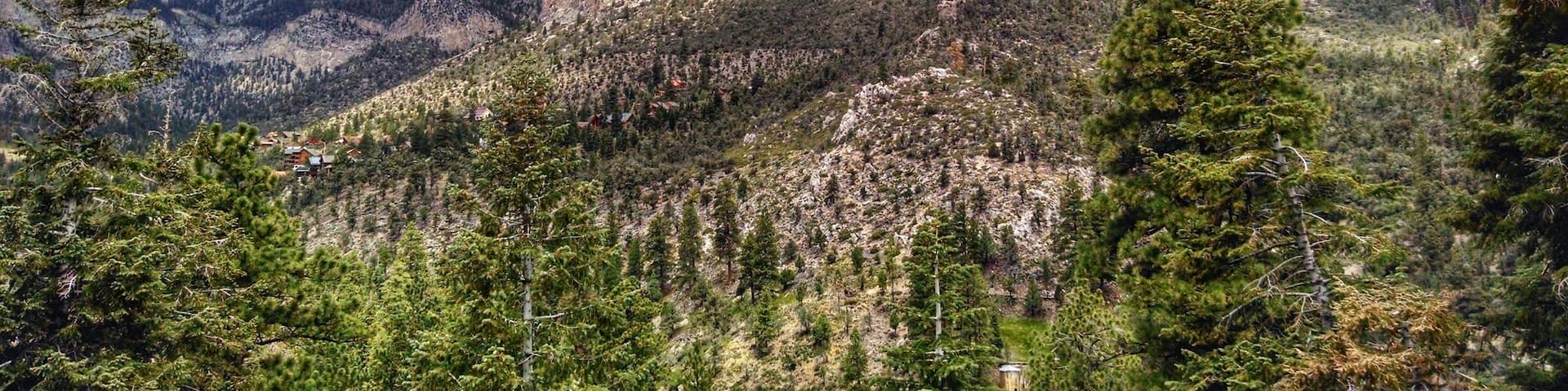 A rugged mountain range with dense forests and a few scattered buildings.
