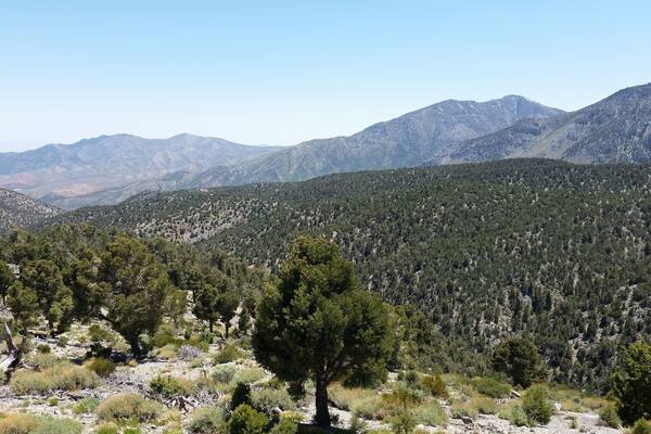 Spent the day mountain biking up at Charlie