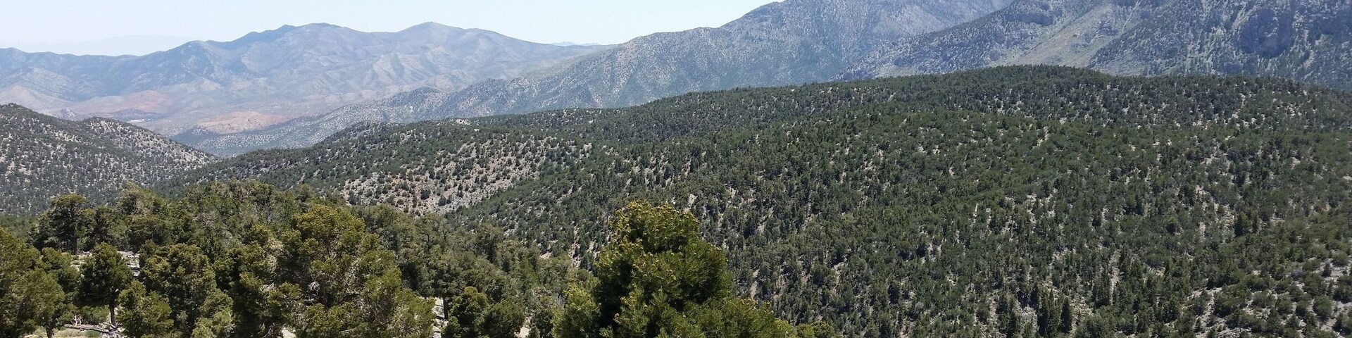 Spent the day mountain biking up at Charlie