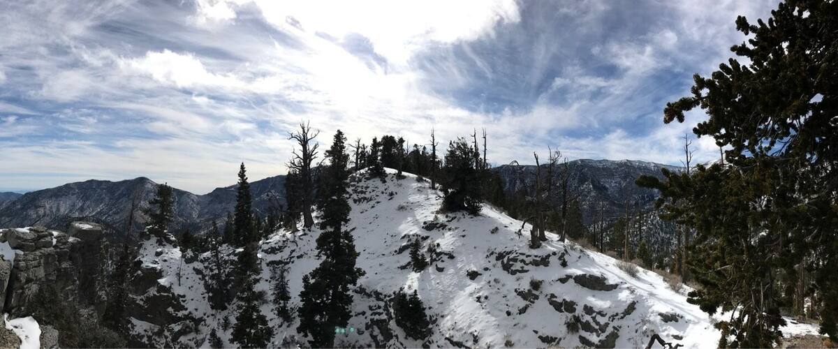 A mountainous landscape with snow-covered peaks, dense forests, and a clear sky.