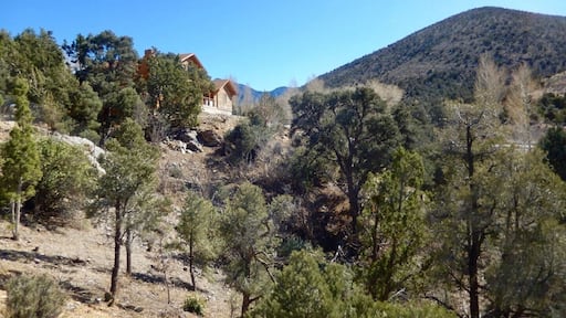 Cabin with a view. Mountain Springs, Nevada is an area at the halfway mark between Las Vegas and Pahrump, Nevada. (03/2018)