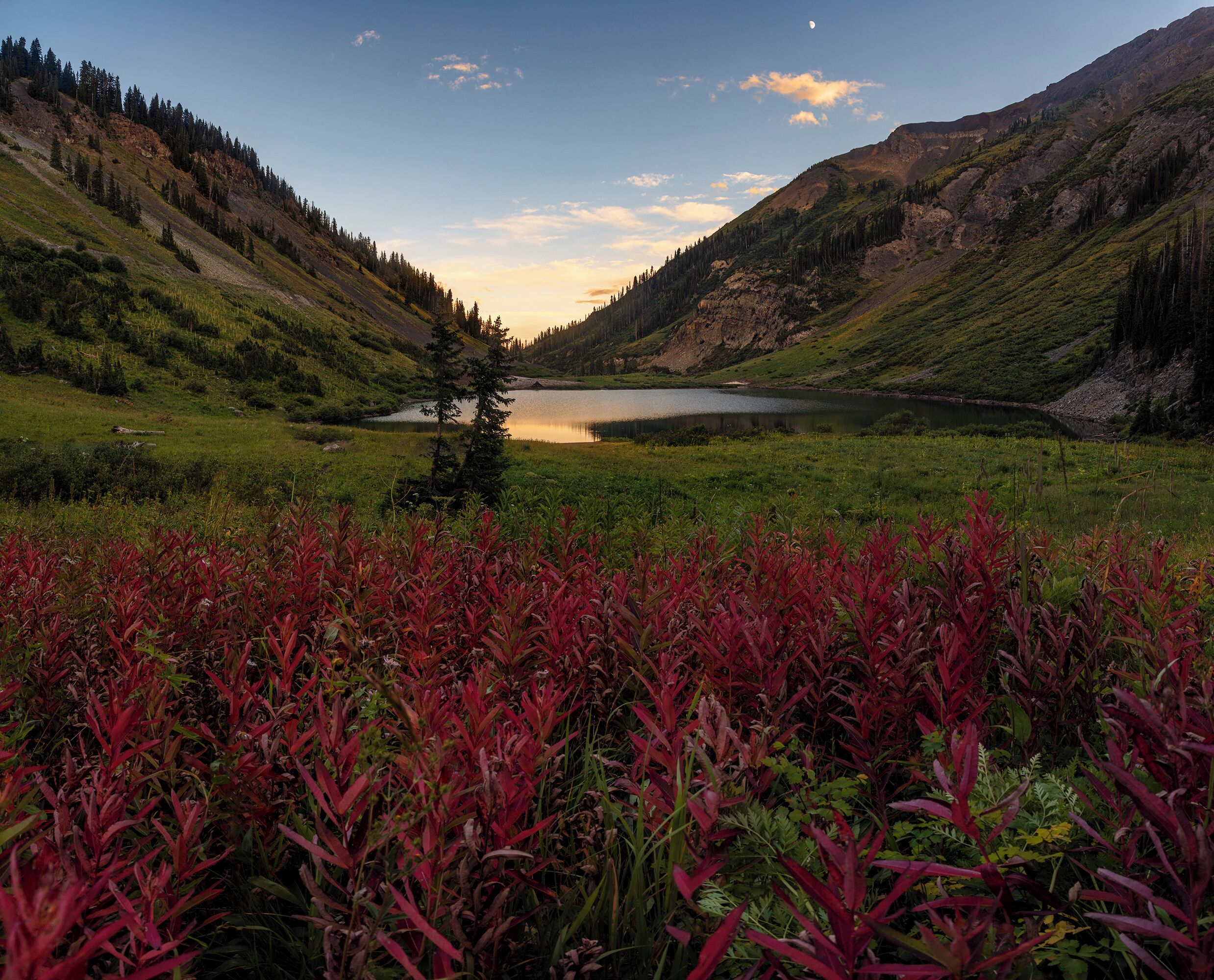 I am on a trip for next couple weeks, but wanted to give you a small teaser from my trip out to Colorado. It was an amazing trip and am really excited to do some editing and sharing! see you all soon! 

Emerald lake is a beautiful alpine lake hidden away behind Crested Butte. A few miles down a dirt road only a jeep has any right going down that we blazed in a small Subaru :D. These red plants were a few hundred feet up the side of a hill looking over the lake. We waited for sunset here enjoying the cool air and gorgeous scenery. 