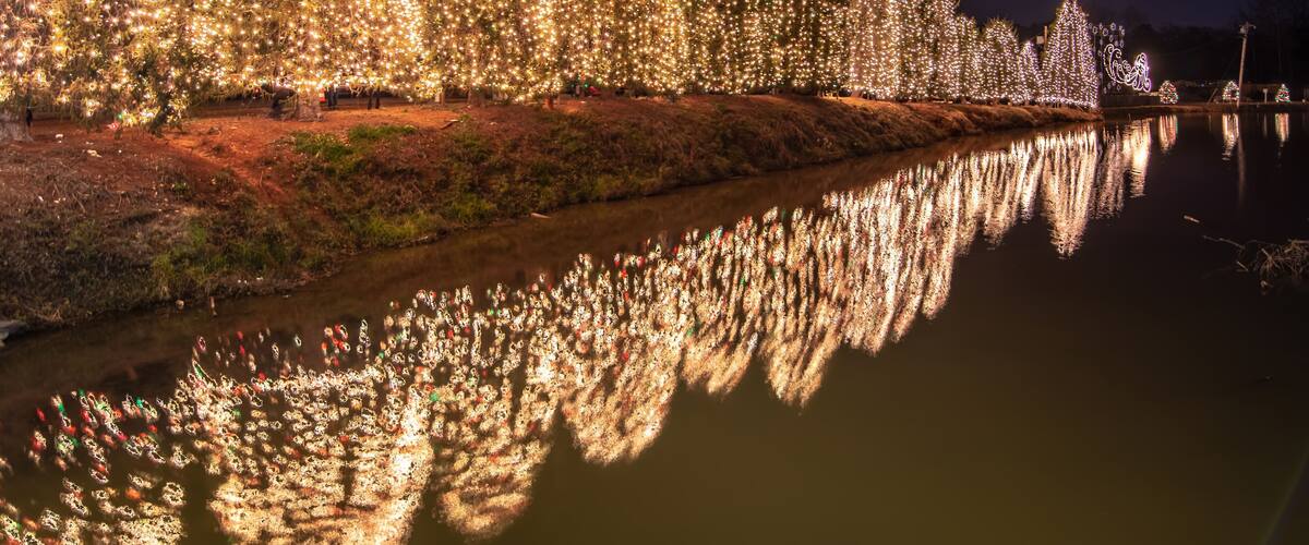 A river reflecting rows of illuminated Christmas trees.