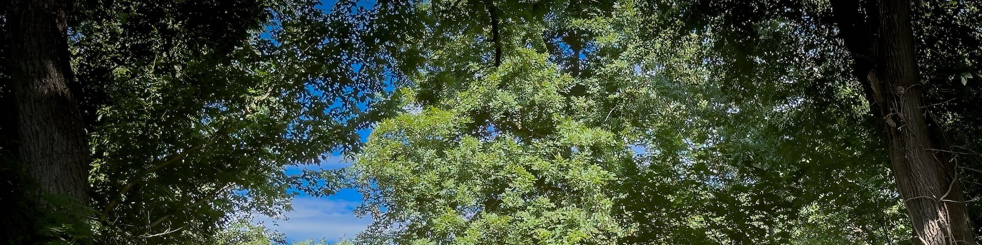 Meems Bottom Covered Bridge, Shenandoah County, Virginia